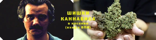 PSILOCYBIN Волосово