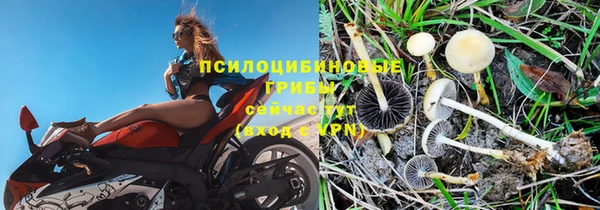 прущий лед Володарск