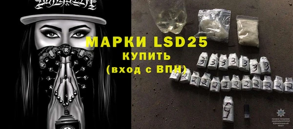 PSILOCYBIN Волосово